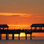 Pier 60 Clearwater