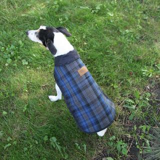 Crescent Lake Plaid Pet Coat