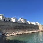 Monopoli