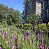 Cylburn Arboretum
