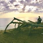 Douglas Family Preserve