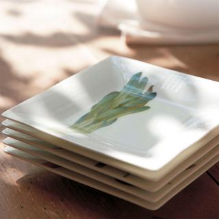 Kyoka Shunsai Square Plate, Set 2