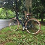 Bicycling