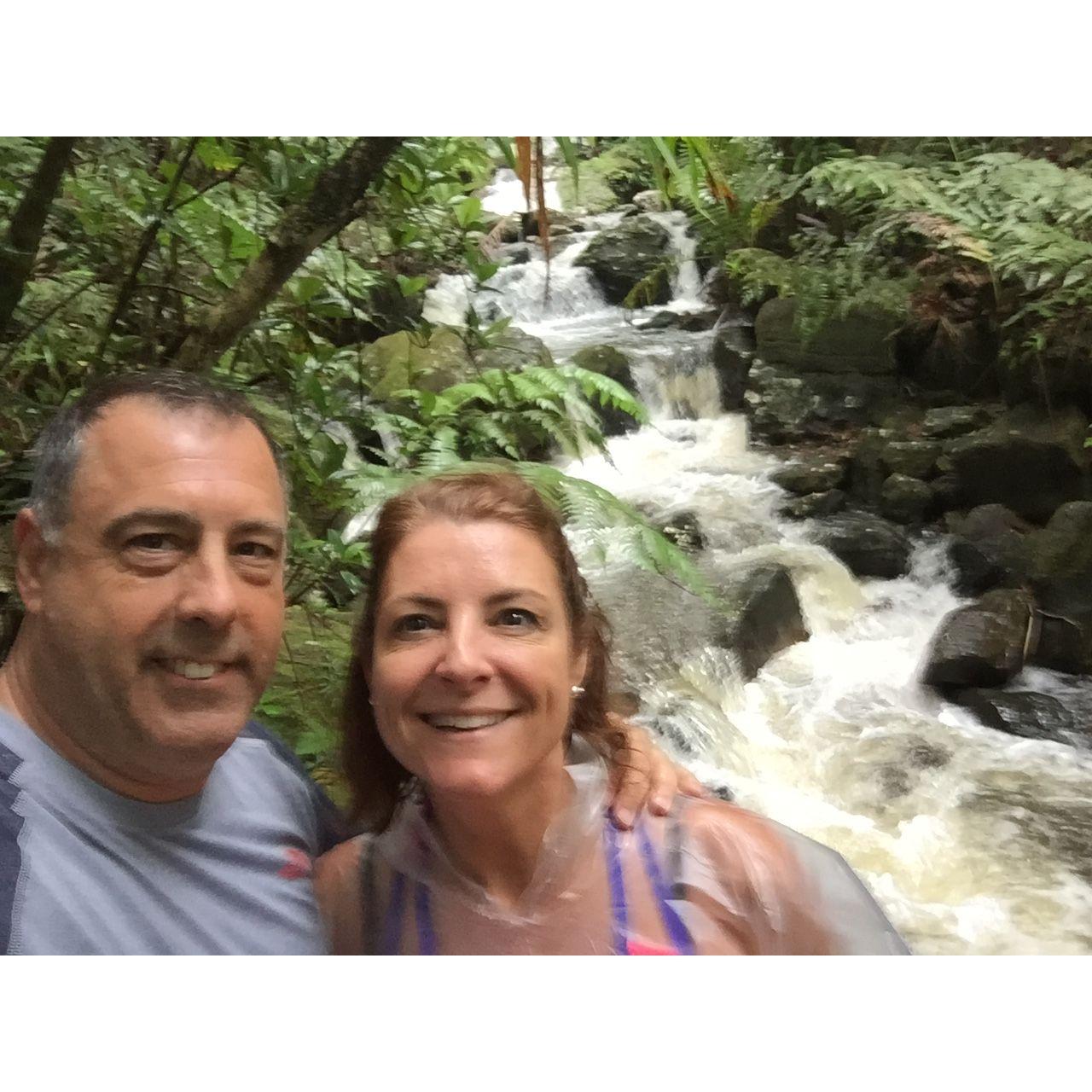 El Yunke Rain Forest, Puerto Rico
