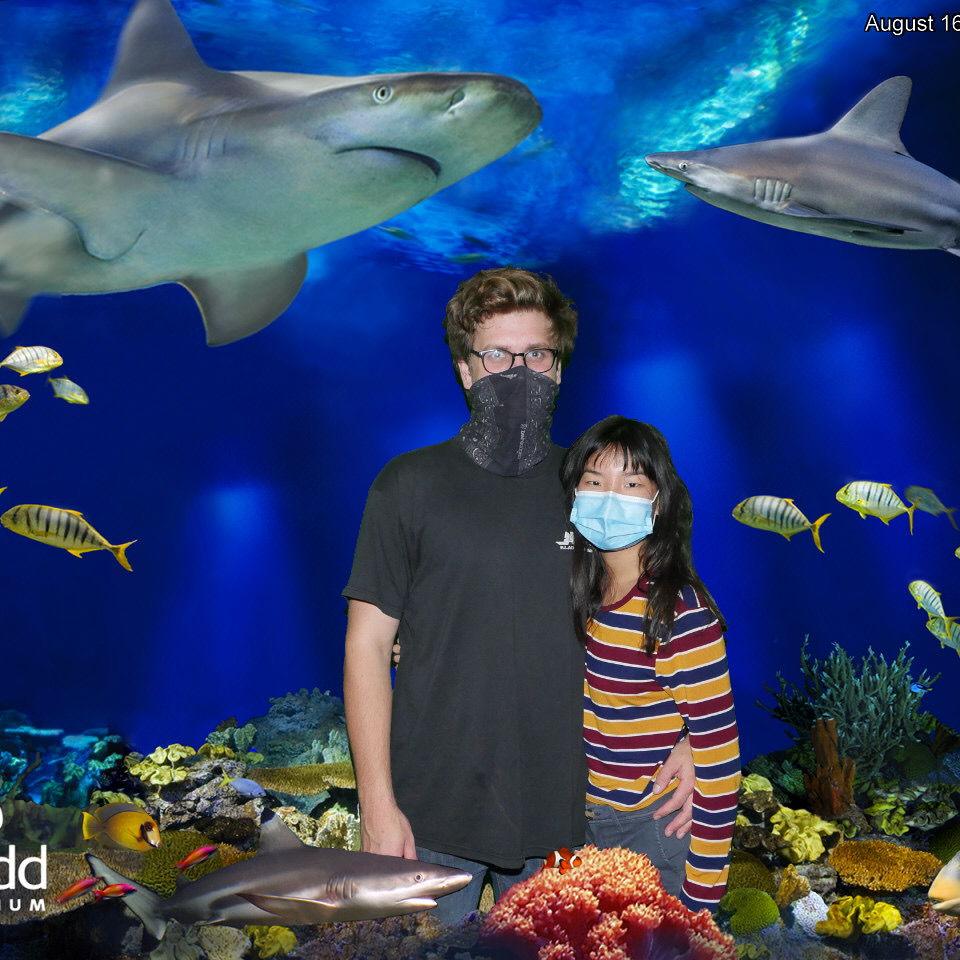 A COVID-19 date at the Shedd Aquarium.