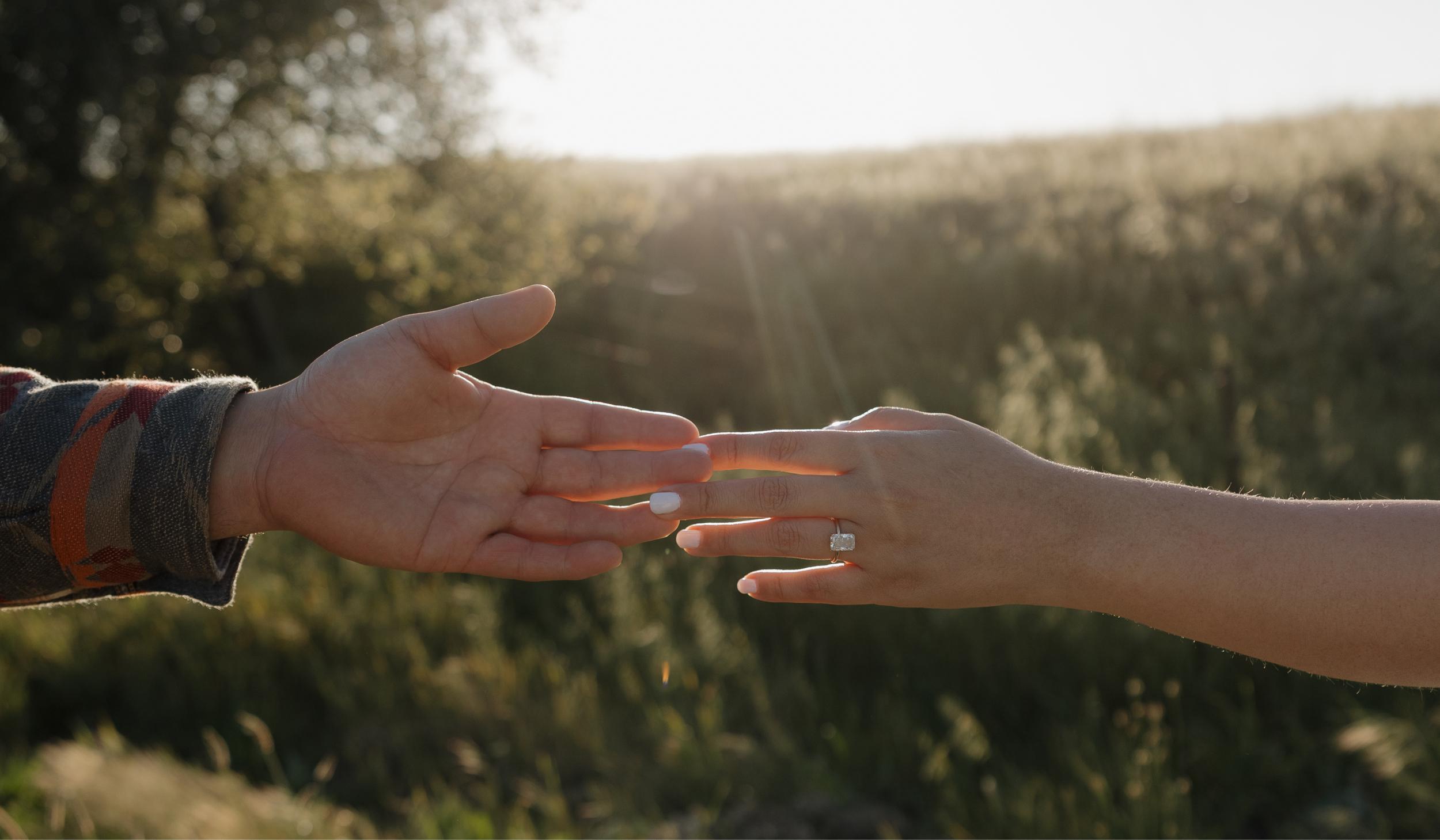 The Wedding Website of Sandra Zepeda and David Rivera