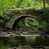 Walk the Deerpark Forest