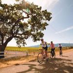 Santa Barbara Wine Country Cycling Tours