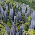 Gunung Mulu National Park