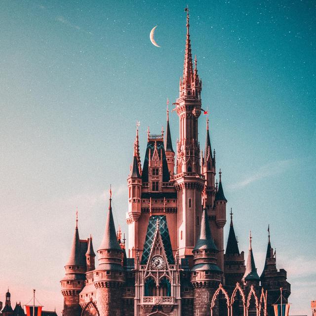 Disneyland Honeymoon