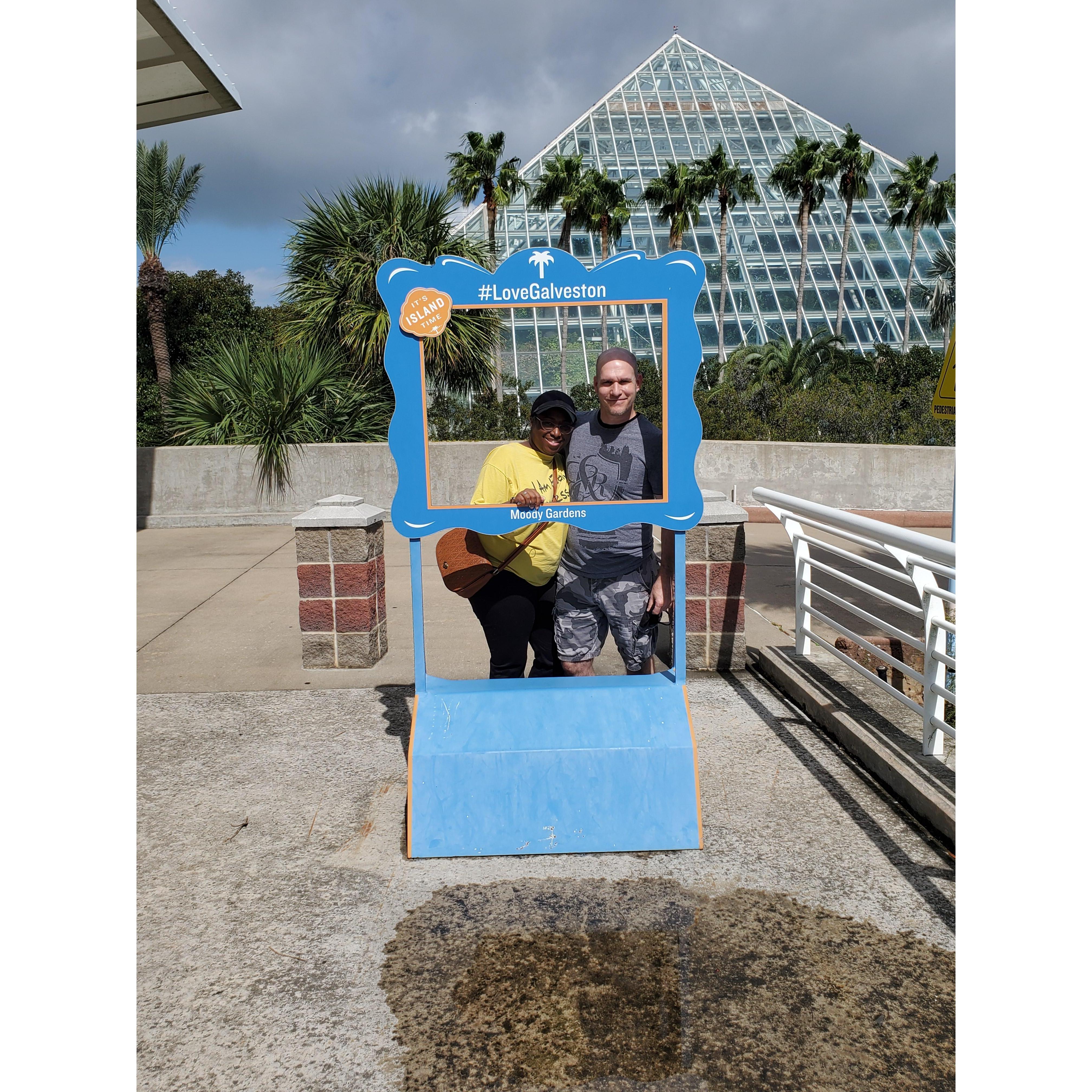 Jeanevra and Andrew visited Galveston, Texas. Jeanevra was able to check-off one of her bucklist items since childhood, seeing an aquarium.