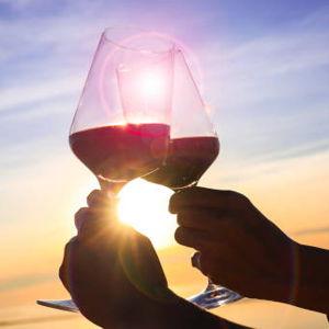 Wine Tasting for Two in Mendoza
