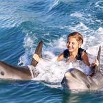 Swim Adventure with Dolphins