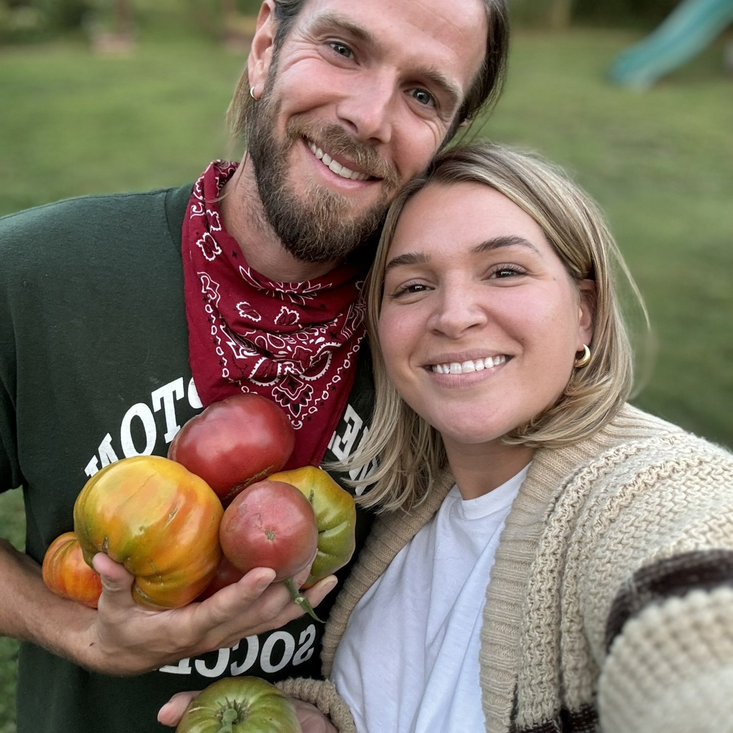 Ramblewood tomato harvest