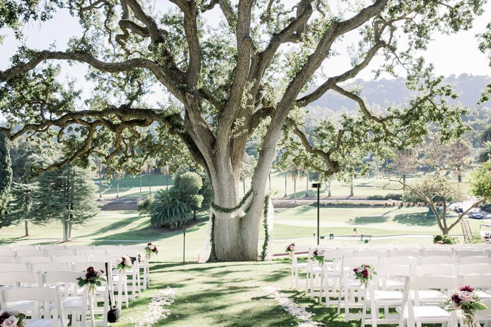 The Wedding Website of Zayan Musa and Hassan Abdallah