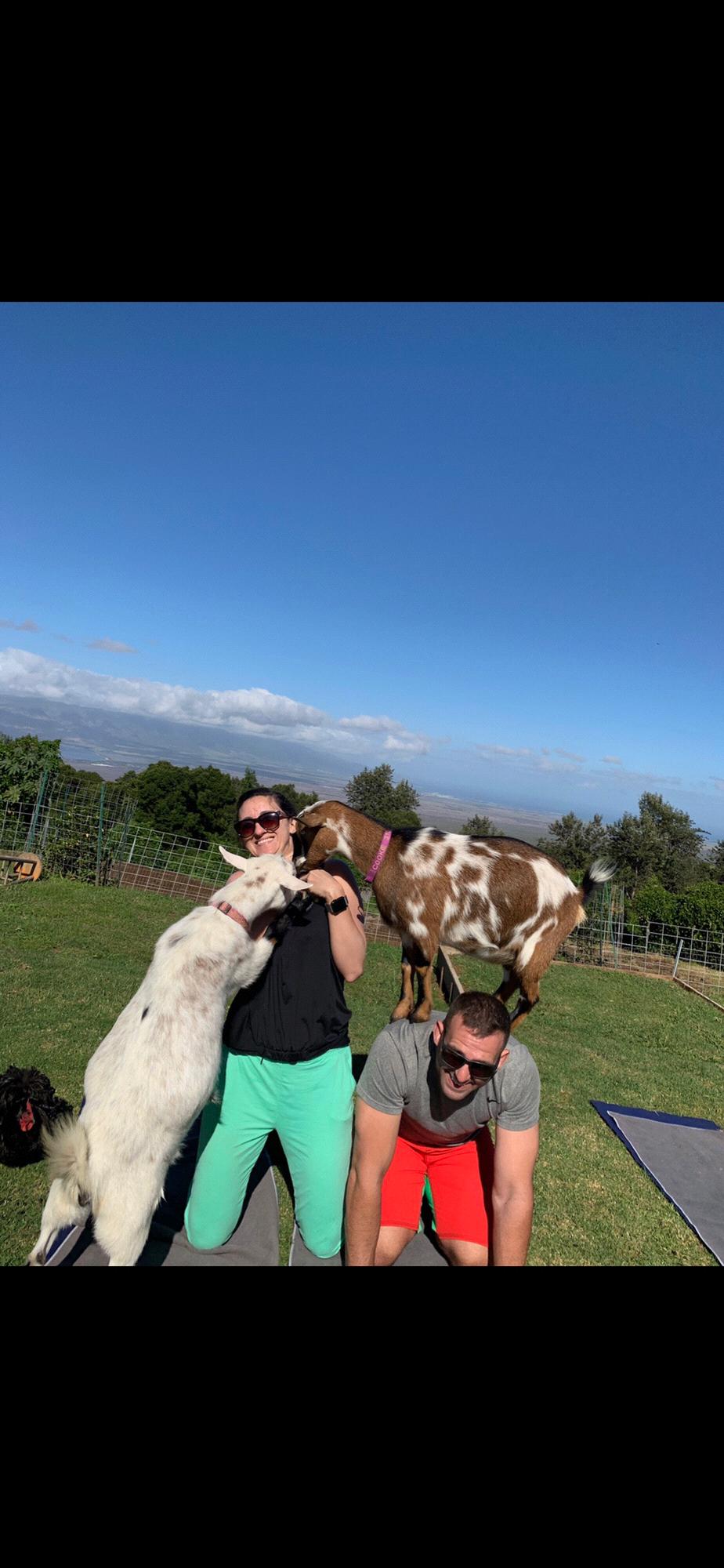 GOAT YOGA