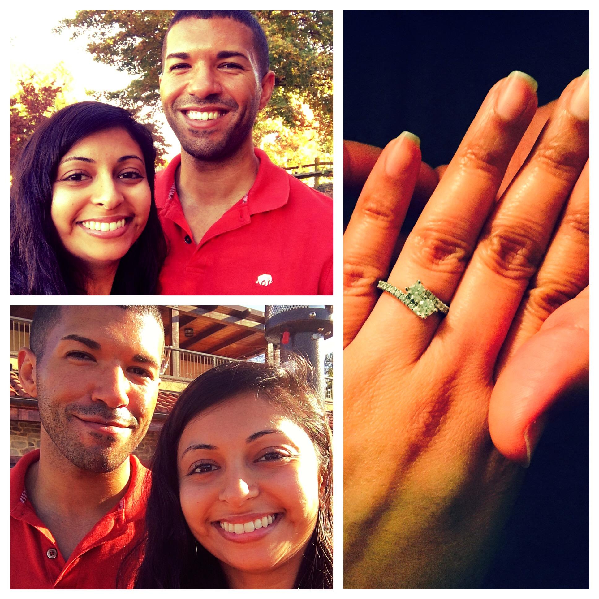 The Wedding Website of Vaishali Thanawala and Brett Cooper