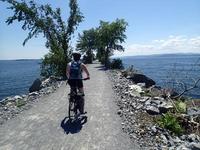 Local Motion Bike Rentals