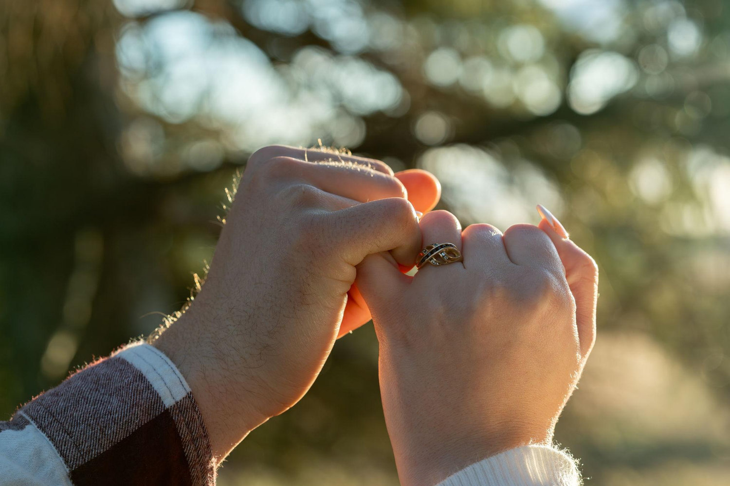 The Wedding Website of Dasha Thurman-Westover and Jarrett Troyna