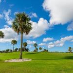 GOLFING