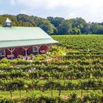 Cape May Winery