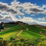 DAOU Family Estates