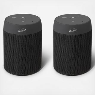 Portable Dual Wireless Speakers