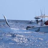 Far Out Fishing Charters