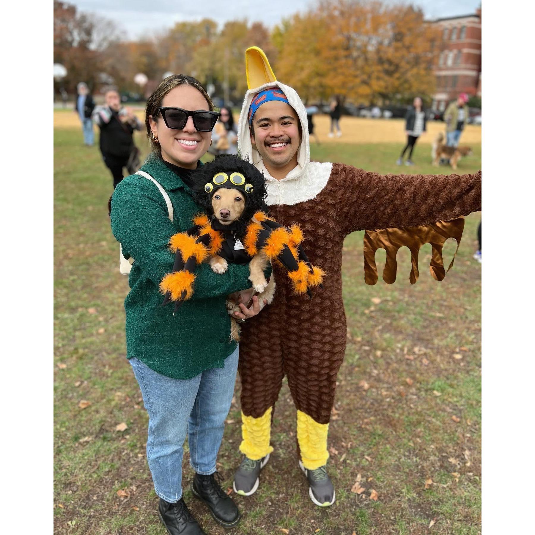 Hallo-weenie with our scary spider!