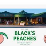 Black's Peaches