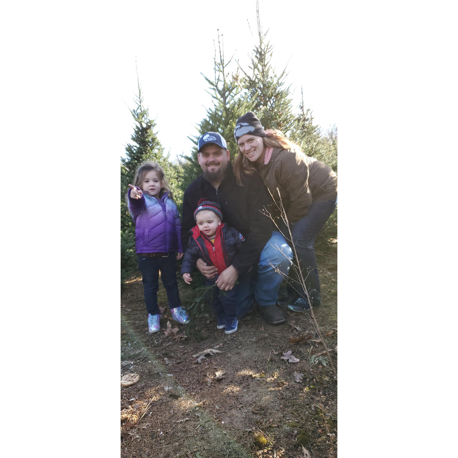Choosing our tree 2019