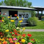 The Wyld