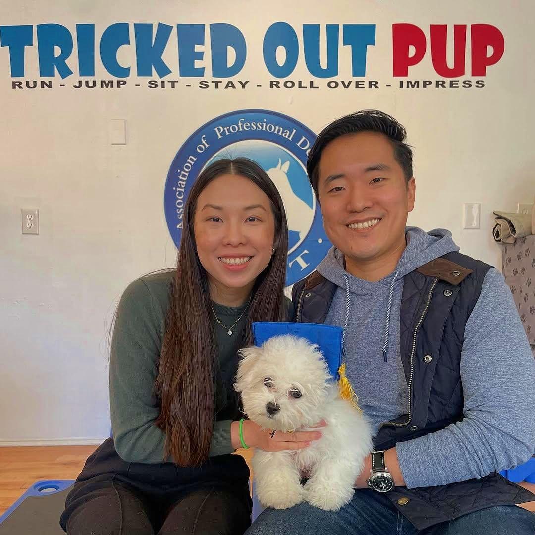 In January 2025, we became pawrents to the most adorable little bichon, Mandoo!