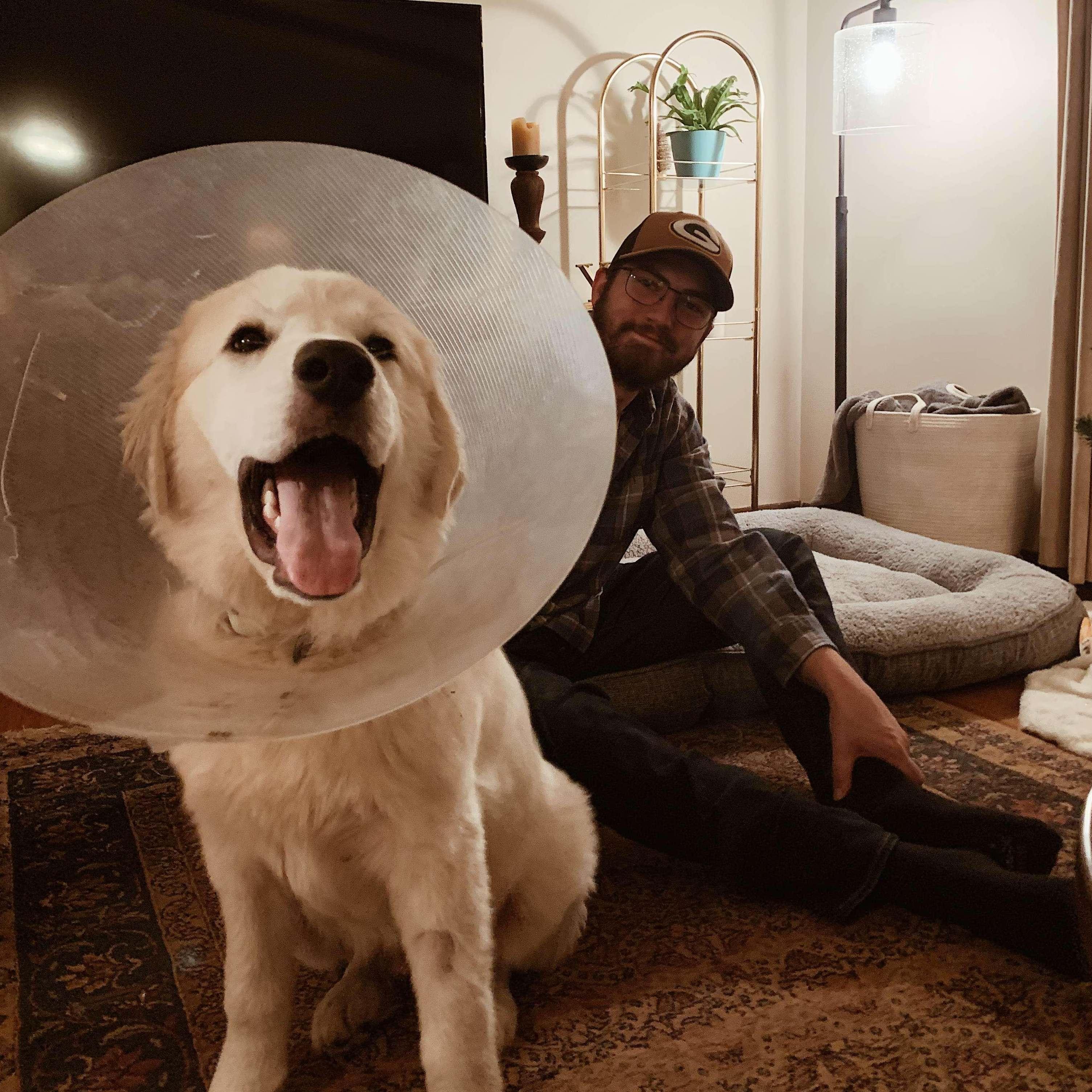 The day we added Georgie to the family!