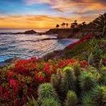 Montage Sunset - Laguna Beach