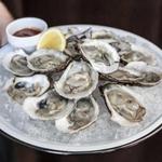 Seabear Oyster Bar