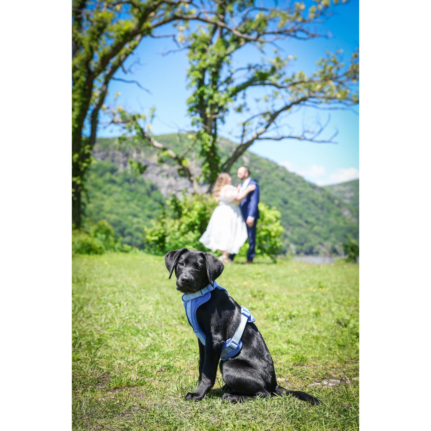 May 26th, 2025 - Engagement Photoshoot