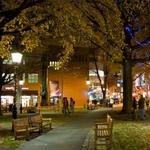 Harvard Square