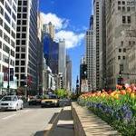 Magnificent Mile
