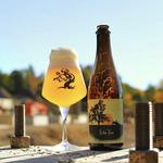 Tree House Brewing Company