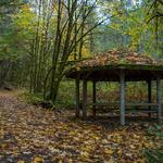Beazell Memorial County Forest