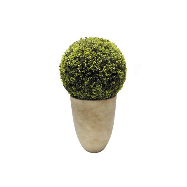 Bee & Willow™ Home 32-Inch Pre-Lit Faux Boxwood Ball Topiary