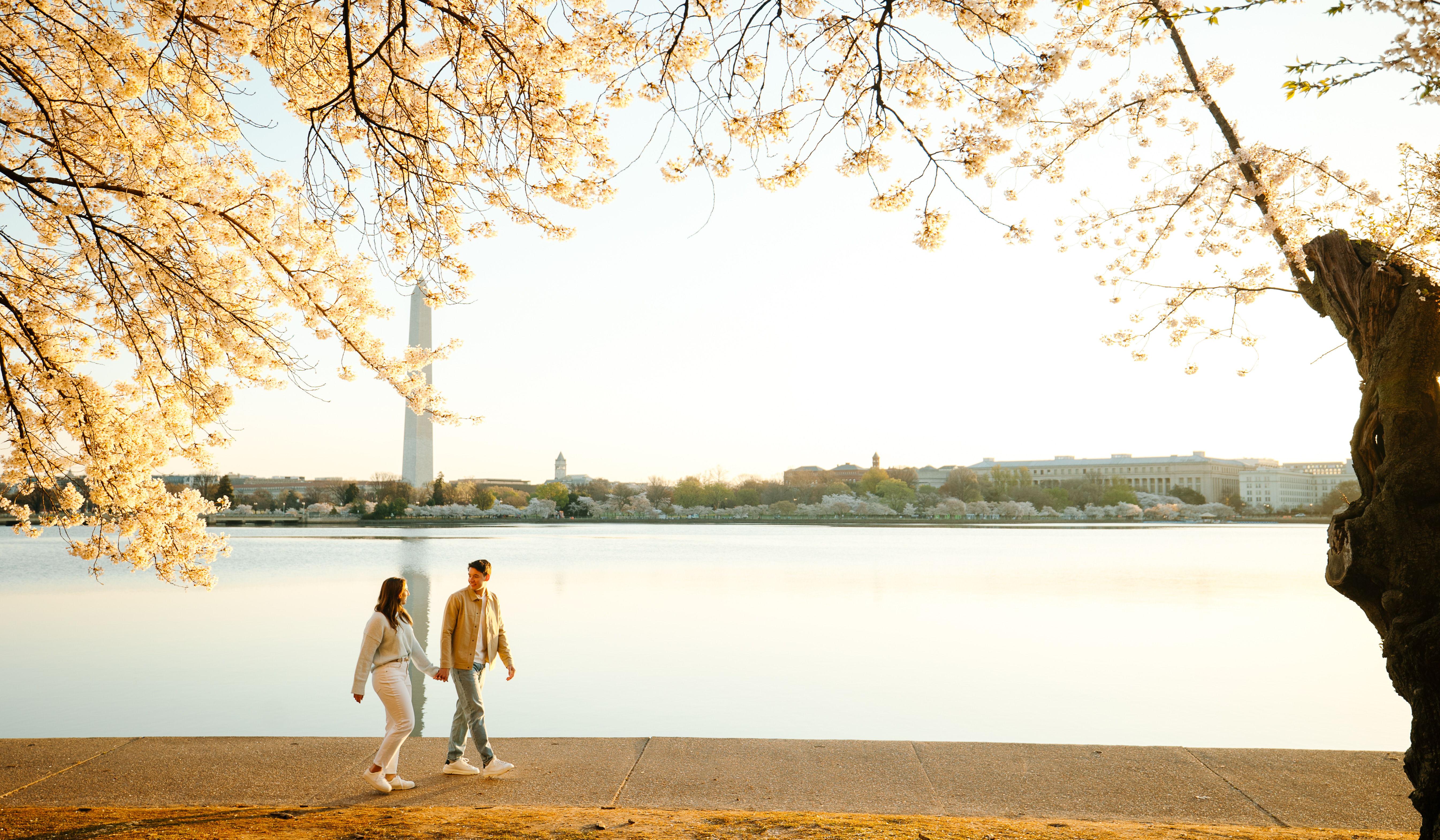 Hero Slideshow Image 2