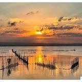 Albufera de Valencia