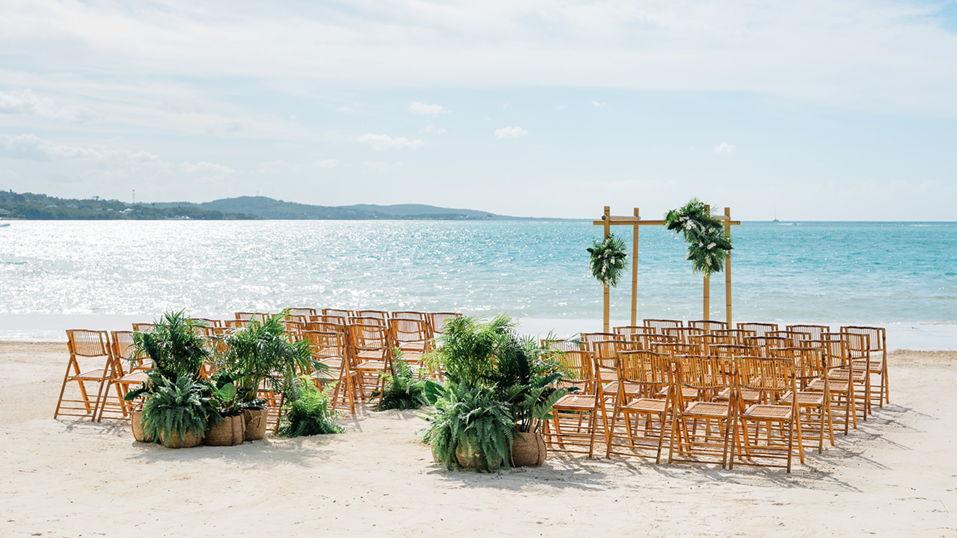 The Wedding Website of Arielle Grider and Zachary Stevenson