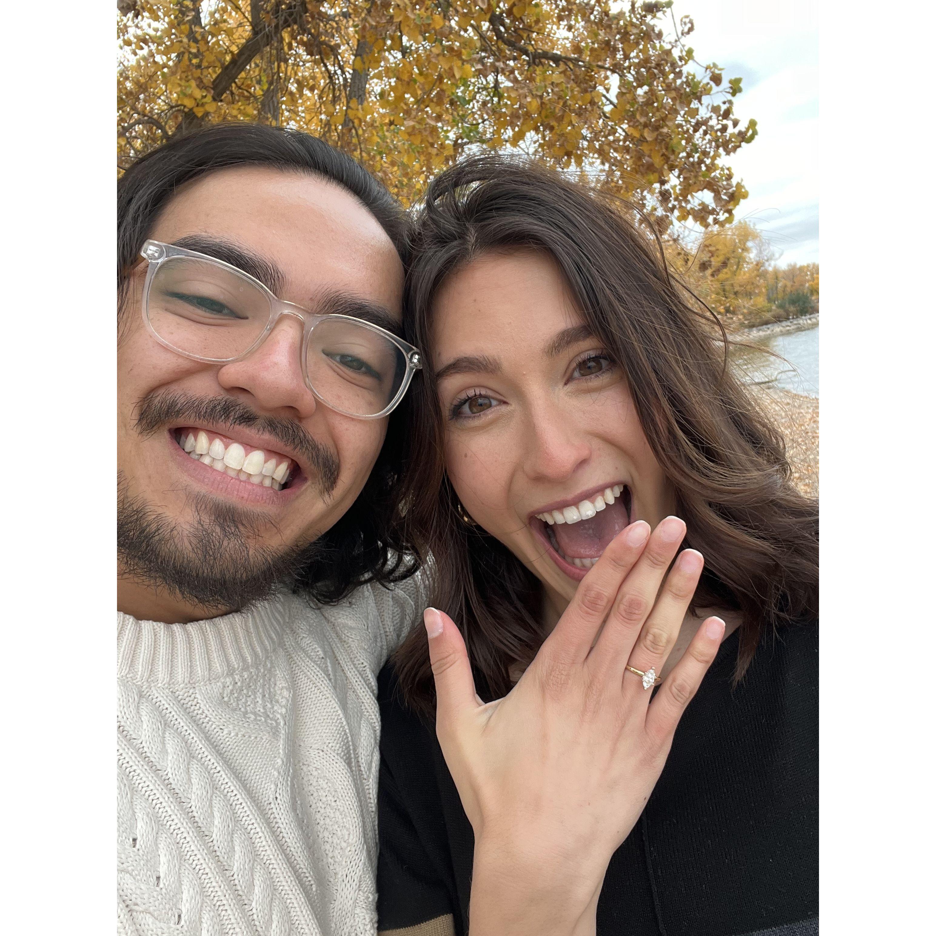 The proposal, 2024