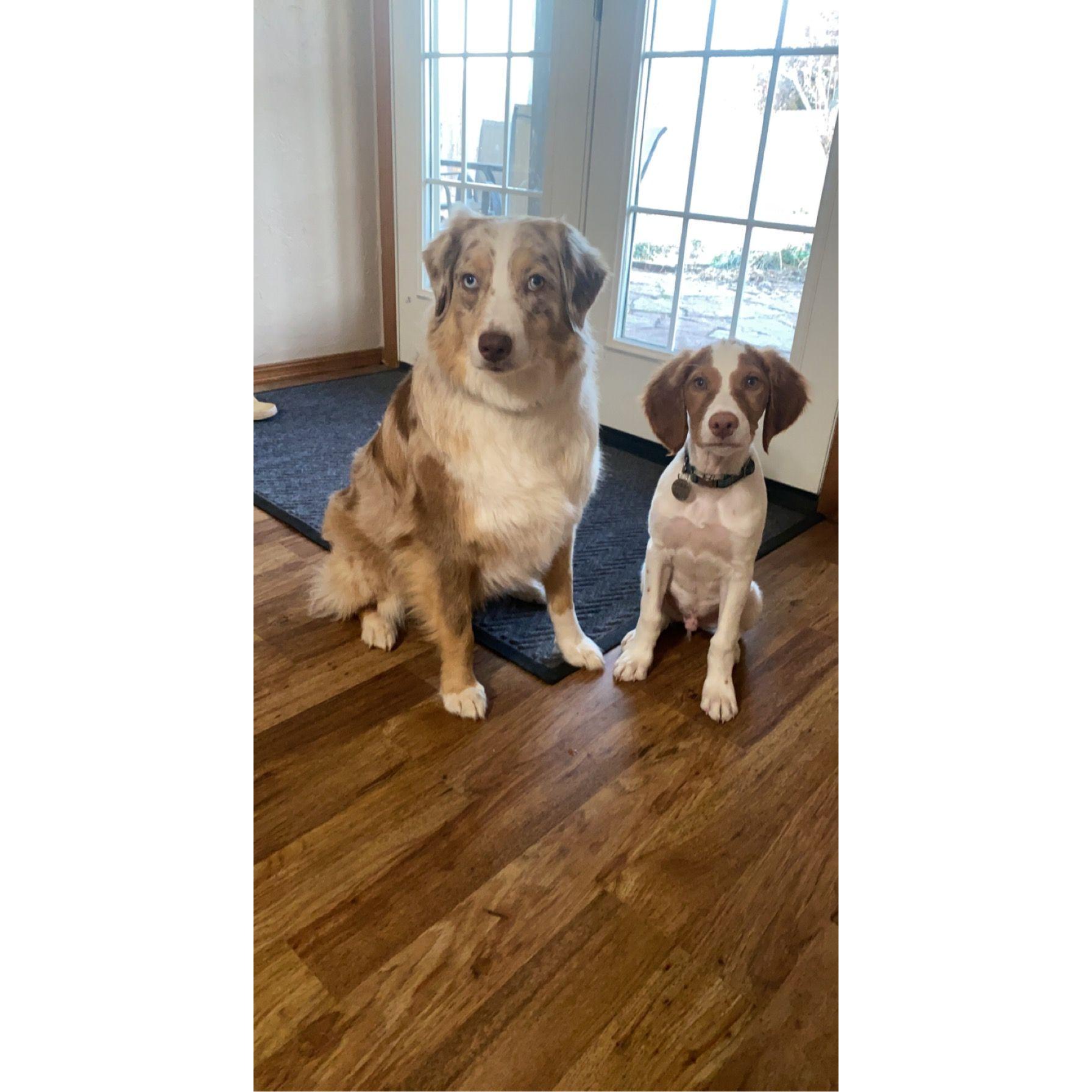 Blu & Ralphie