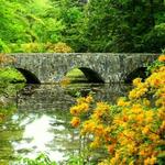 Maudslay State Park