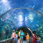 Audubon Aquarium