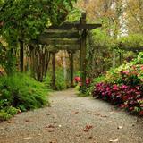 Gibbs Gardens